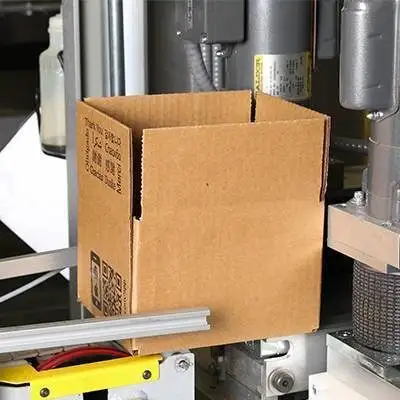 CASE ERECTORS