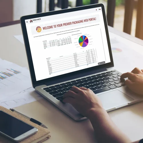 Customer-Portal-Mock-Up-2